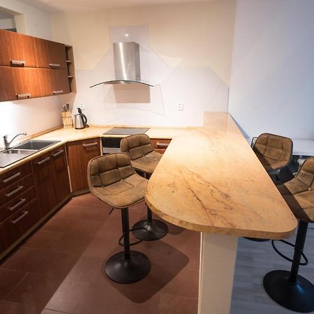 Apartment Vodni With Parking Brno Exterior foto