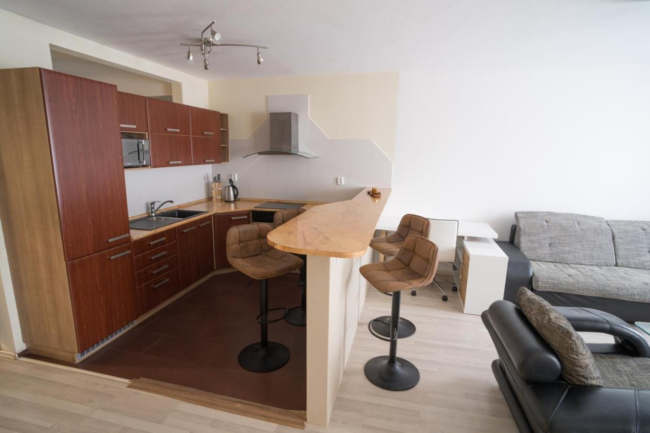 Apartment Vodni With Parking Brno Exterior foto